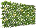 81hA108+FAL._AC_UF894,1000_QL80_